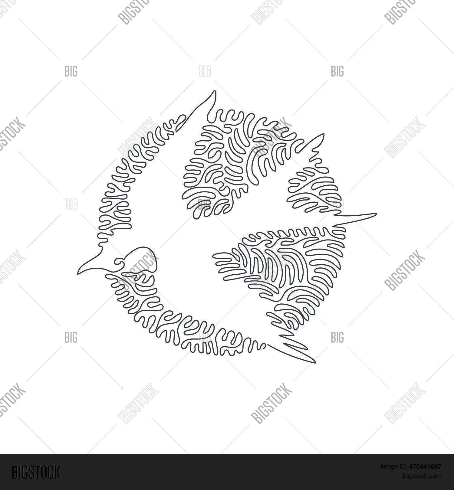 Continuous One Curve Vector & Photo (Free Trial) | Bigstock