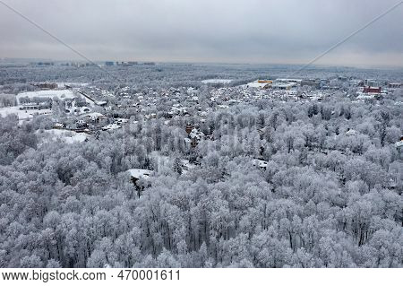 Kurkino Nature Park - Moscow, Russia