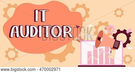 Text Sign Showing It Auditor. Business Concept Person Authorized To Review And Verify The Accuracy O