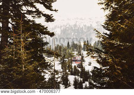 Red Gondola Ski Cable Way Lift Isolated In Fir Forest In Goderdzi Ski Resort. Georgia