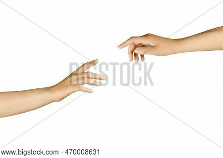 Two Isolated Hands On A White Background Try To Touch Their Fingers. Beautiful Hands, Elegant Gestur