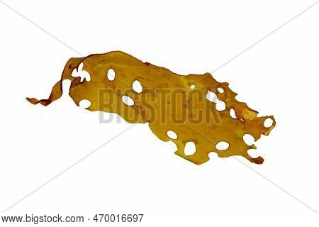 Laminaria Isolated Transparent Png. Brown Seaweed Or Kelp. Food And Iodine Source Sea Algae. Holdfas