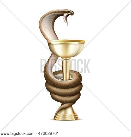 Medicine Snake And Bowl Realistic Composition With Isolated Image Of Cobra Twisted Round The Golden 