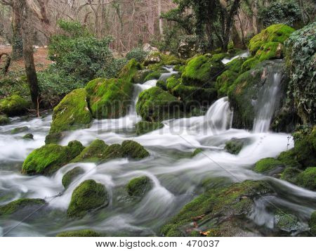 La rivière de montagne