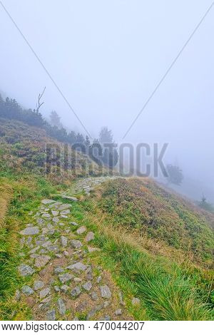 Thick Fog In The Mountains. Hiking Trails In The Mountains, Active Recreation In The Mountains.