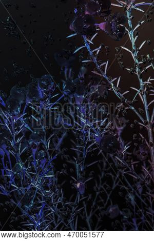 Inverted Photography Of Wax Flowers In Water With Air Bubbles On The Surface