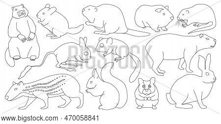 Species Of Rodents Vector Outline Set Icon. Isolated Outline Set Icons Gnawer.vector Illustration Sp