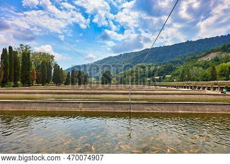 Cascade Outdoor Pools Image & Photo (Free Trial) | Bigstock