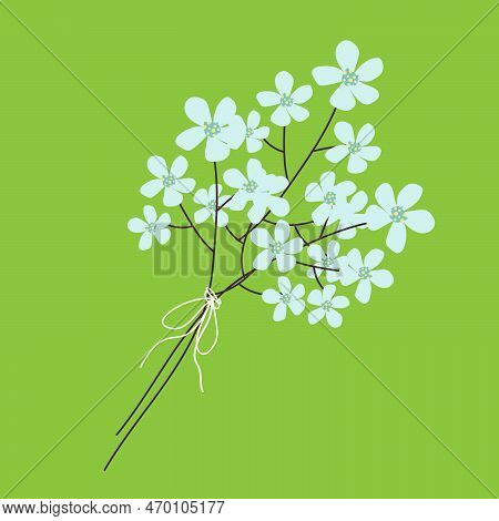 Chery Blossom Spring Branch On Green Background. Vector Illustration