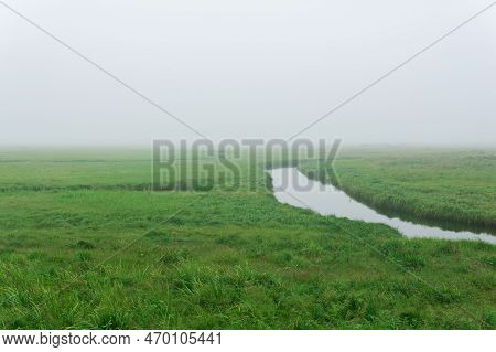 Morning Landscape, A Vast Meadow With Calm River Among Lush Grass Is Hidden By Fog