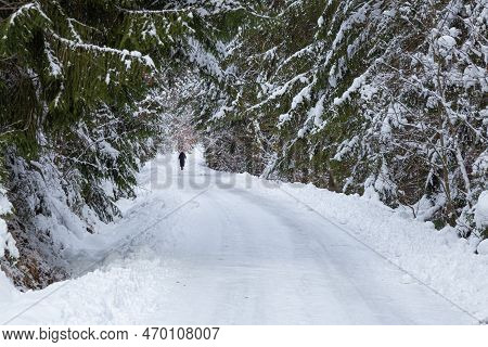 Hiker Girl In Winter Mountain. Janska Valley Intatras. Liptovsky Jan Village. Winter Activity, Holid