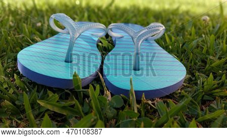 Blue Slippers On Lawn On A Sunny Day