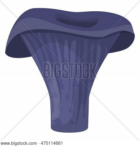 Actarius Indigo Mushroom. Edible Organic Mushrooms. Truffle. Forest Wild Mushrooms Types. Colorful V