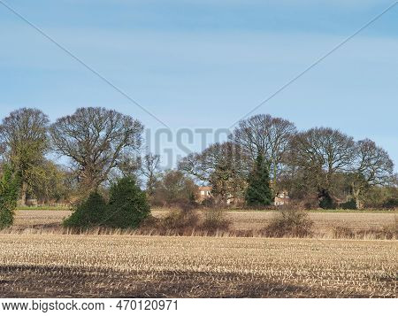 Fields And Bare Winter Trees At Skipwith, North Yorkshire, England