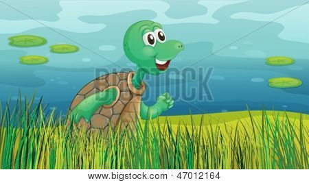 Illustrazione di una tartaruga che corre lungo il laghetto