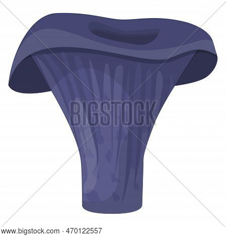 Actarius Indigo Mushroom. Edible Organic Mushrooms. Truffle. Forest Wild Mushrooms Types. Colorful I