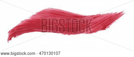 Ruddy Brush Isolated On White Background, Red Brush Scarlet Sage.