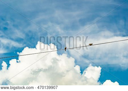 Power Electric Pole With Line Wire On Colored Background Close Up