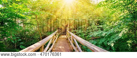 Wooden Footbridge In Natural Park In Ontika, Estonia.