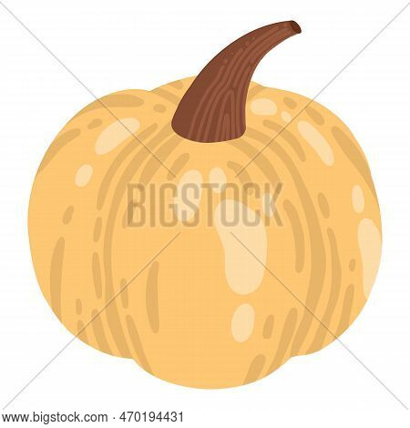 Colored Pumpkin Hand Drawn Vector Graphic Illustration. Colorful Drawing Autumn Vegetable Whole, Sli