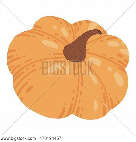 Colored Pumpkin Hand Drawn Vector Graphic Illustration. Colorful Drawing Autumn Vegetable Whole, Sli
