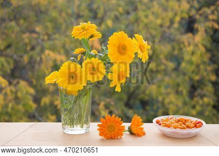 Fresh Yellow Flowers In Glass Vase And Berries Of Sea ​​​​buckthorn In Saucer. Autumn Colorfull  сom