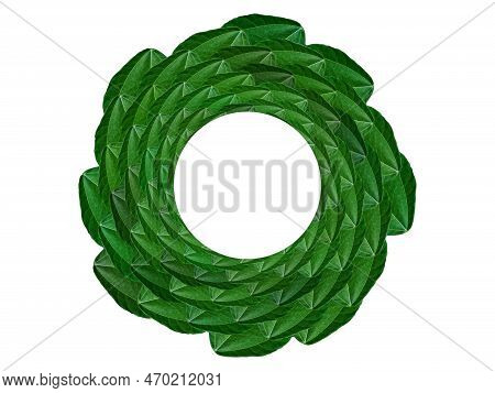 Circular Leaf Arrangement. Green Leaf Isolated On White Background. Leaf Frame.