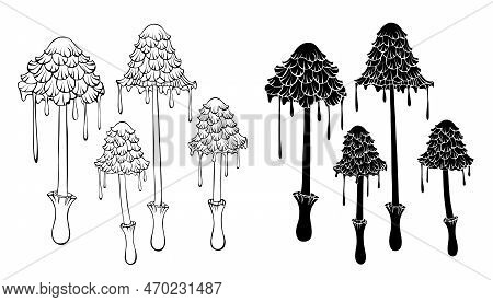 Set Of Silhouette And Contour, Isolated, Artistically Drawn Ink Mushrooms On White Background. Cotta