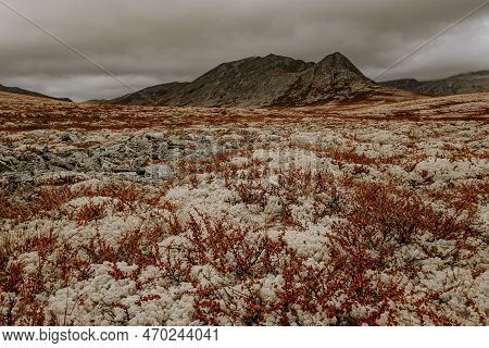 Autumn Mountain Landscape Of Rondane National Park In Norway, Trail From Smuksjøseter Fjellstue To P