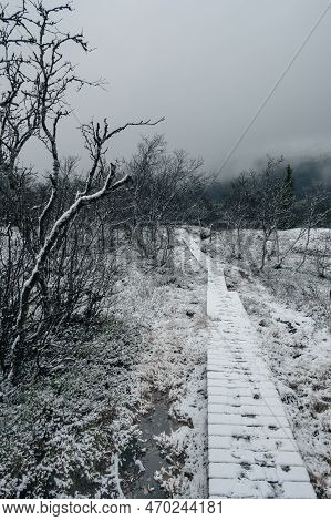 Dark Moody Foggy Landscape, Path In Norwegian Mountain To The Top Of Rogne