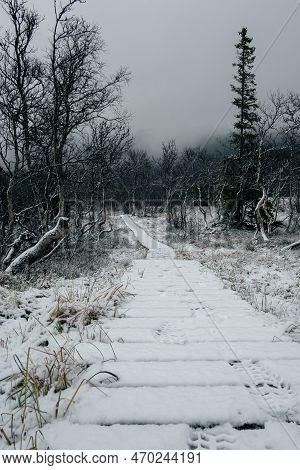 Dark Moody Foggy Landscape, Path In Norwegian Mountain To The Top Of Rogne