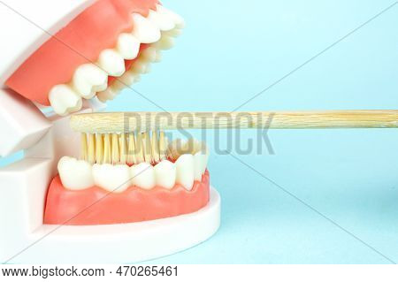 Dentistry Conceptual Photo. Prosthetic Dentistry And Wooden Toothbrush. False Teeth. Mock Tooth Or T