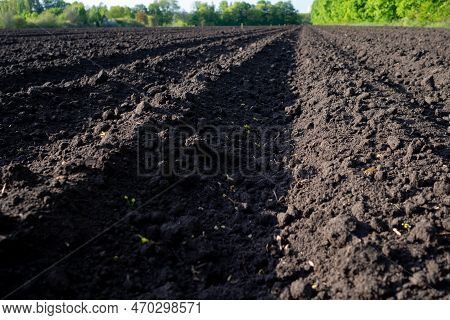 Tillage. Ploughed Field, Deep Level Furrow Before Sowing. Agriculture And Farming.