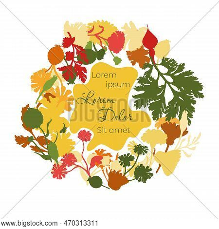 Isolated Wreath With Hand Drawn Garden Flowers