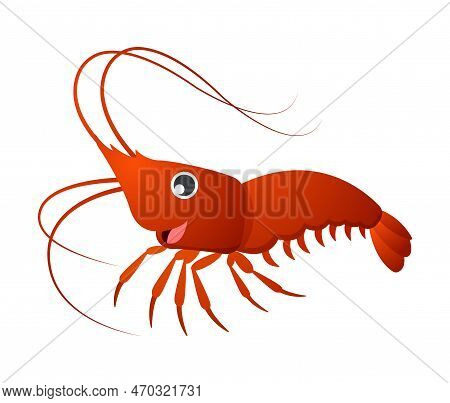 Crayfish . Cute Isolated Cartoon Character . Vector Illustration .