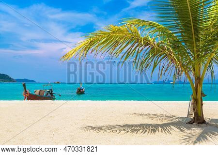 Single Small Palm Tree Hanging Over Tropical Beach With White Sand