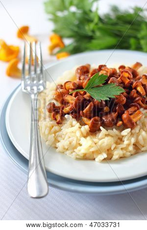 Risotto z Pieprznik jadalny