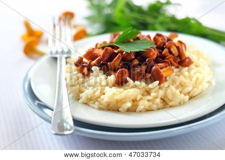 Risotto z Pieprznik jadalny