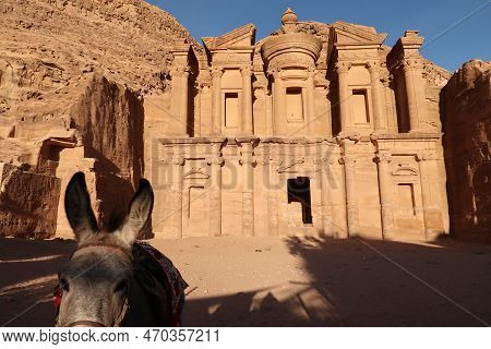 Donkey In Front Of The Monastery, Ad Deir, Ad-dayr, El-deir, Petra, Jordan 2021