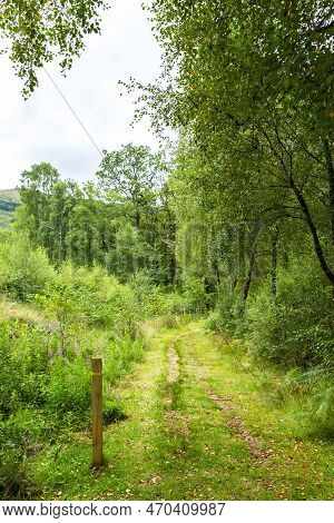Wonderful Natural Landscape At Strone Hill Forestry
