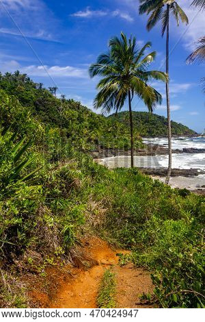 Trail To The Beach At Itacarezinho Beach, Itacare, Bahia, Brazil