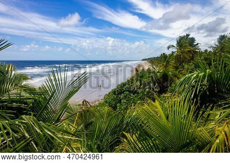 Beach And Vegetation At Itacarezinho Beach, Itacare, Bahia, Brazil