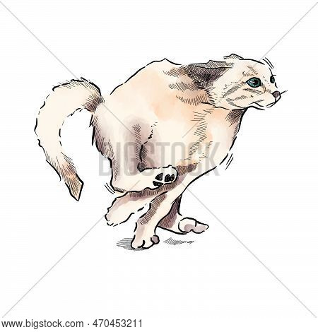 Cute Playful Cat In Move Hand Drawn With Watercolor Style