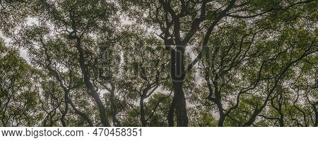 Parque Belgrano Neighborhood, Buenos Aires