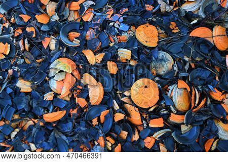 02-10-2023.rotterdam,the Netherlands.pile Of Broken Clays For Clay Pigeon Shooting