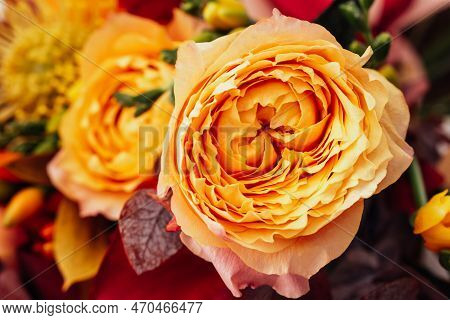 Red Pink Orange Autumn Colorful Fall Bouquet. Beautiful Flower Composition With Autumn Orange And Re
