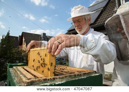 Mehiläishoitaja huolehtiva Bee Colony