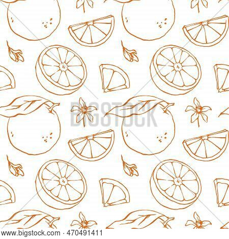 Hand Drawn Oranges Seamless Pattern With Flowers, Leaves And Cut Fruits Contour On White Background.