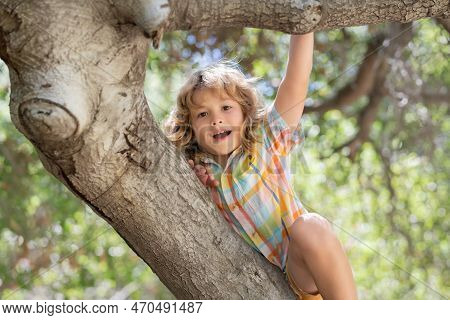 Funny Child Climbing A Tree In The Garden. Active Kid Playing Outdoors. Portrait Of Cute Kid Boy Sit