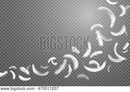 Isolated Floating Feathers, Goose Fly. Falling White Plumage, 3d Weightless Elements, Chicken Or Swa